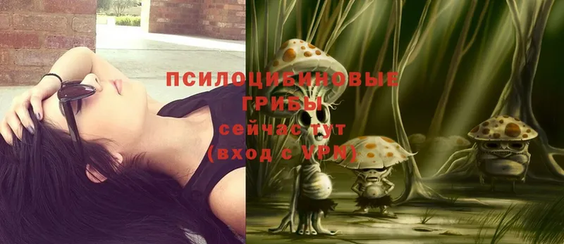 Галлюциногенные грибы MAGIC MUSHROOMS  omg как зайти  Гдов 